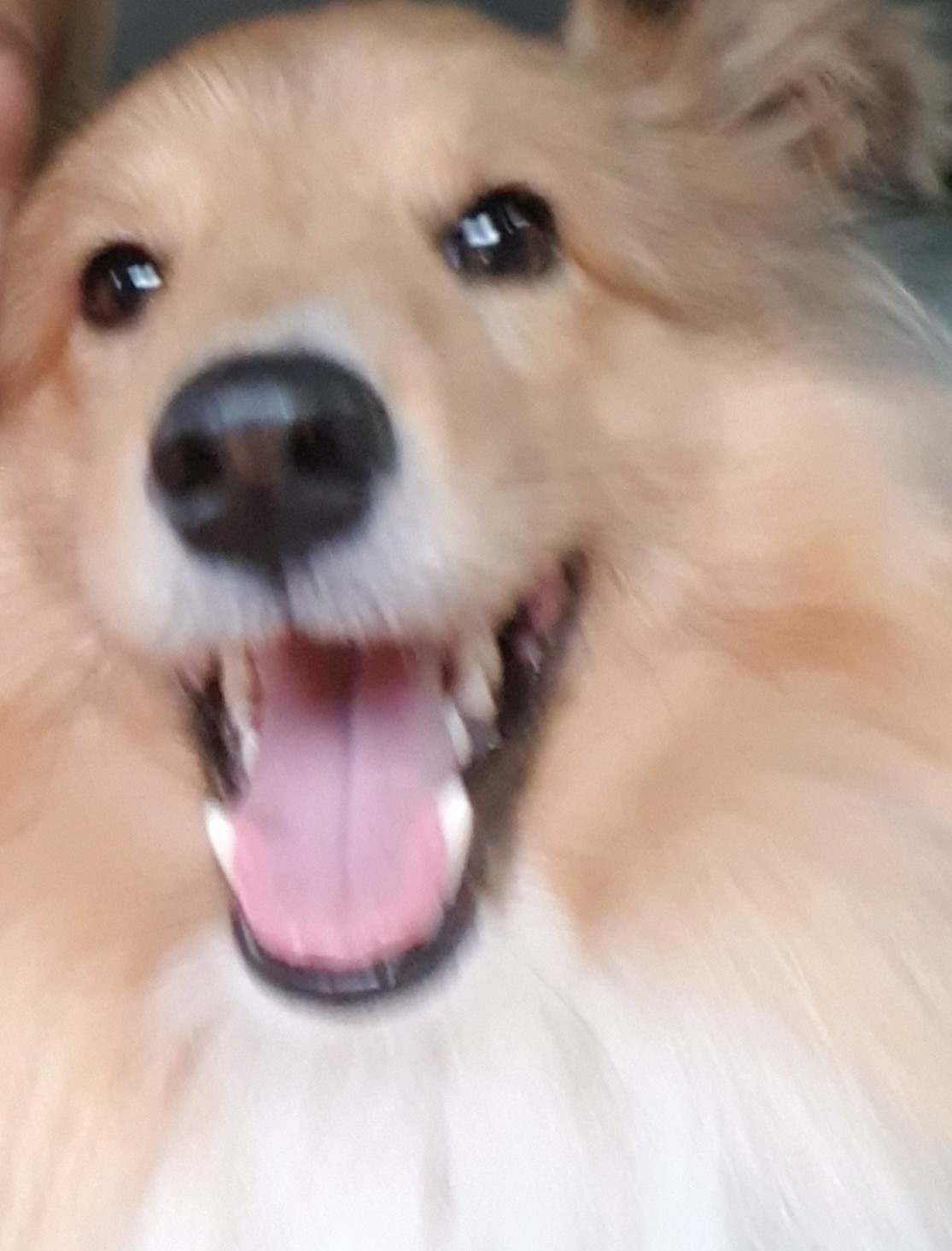 Ikke helt krystallklart, men se så fint jeg smiler!